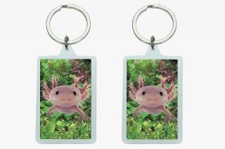 Obrázek z Klíčenka 3D plast 5,6x3,6cm - axolotl (12) 